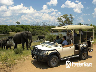 CHOBE SAFARI OVERNIGHT CAMPING TRIP