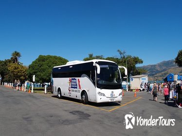 Christchurch and Banks Peninsula Sightseeing Tour