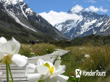 Christchurch to Queenstown via Mount Cook One-Way Tour