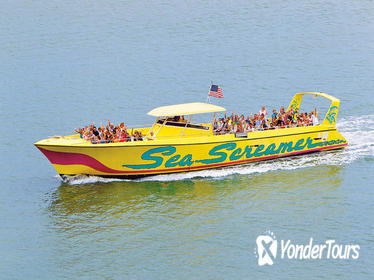 Clearwater Beach Day Trip from Orlando with Sea Screamer Boat Ride