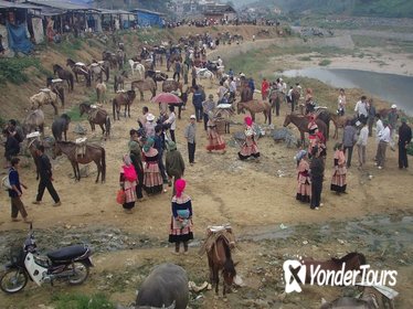 Colorful Local Markets of Sapa Tour