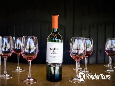 Concha y Toro Marques Wine Tour from Santiago