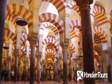 Cordoba Private Tour from Seville