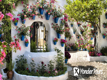 Cordoba Tour During Patios Festival Cordoba Tour During Patios Festival