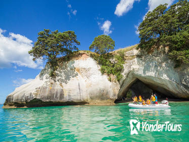 Coromandel and Cathedral Cove Day Trip from Auckland
