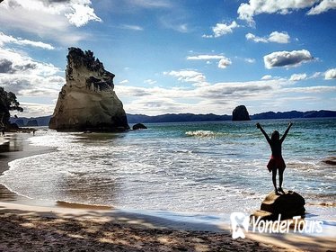 Coromandel Day Trip (Cathedral Cove and Hot Water Beach)