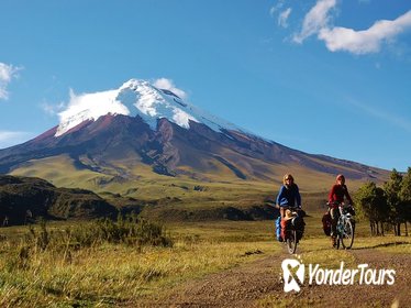 Cotopaxi Hiking and Biking Day Tour from Quito