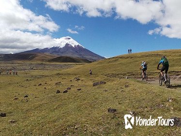 Cotopaxi National Reserve Bike and Hike Day-Trip