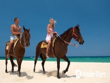 Cozumel Beach Horseback Riding Tour