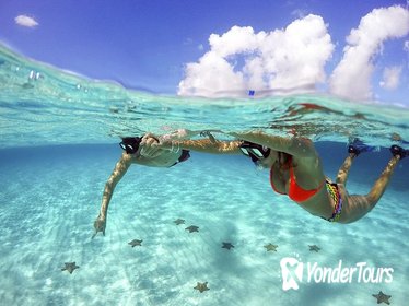 Cozumel Snorkel Tour from Cancun: Coral Reefs and Playa Mia Beach Park