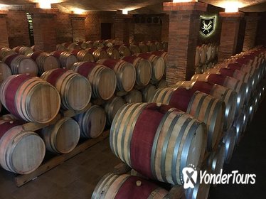 Craft Beer, Classic Car and Wine Guided Day Tour from Cape Town Craft Beer, Classic Car and Wine Guided Day Tour from Cape Town