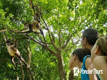 Croco Cun Zoo Guided Tour