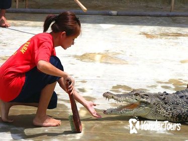Crocodile Farm Tour & Tuaran Temple From Kota Kinabalu