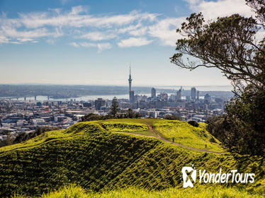 Cultural Walking Tour on Mount Eden