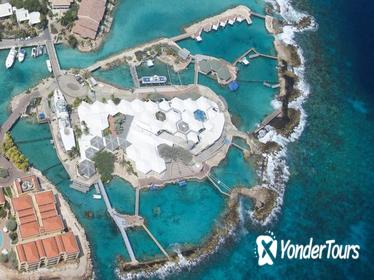 Curacao Public Sea Aquarium Curacao Public Sea Aquarium