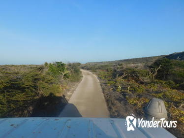 Curacao Shore Excursion: Cultural Sunset Safari Tour Curacao Shore Excursion: Cultural Sunset Safari Tour