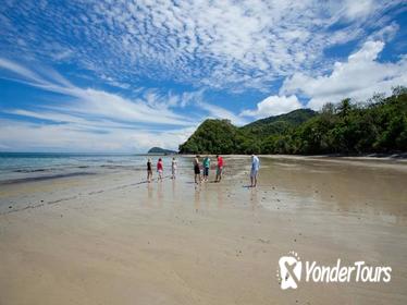 Daintree and Cape Tribulation Tour from Cairns