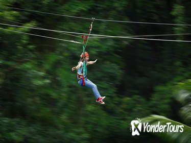 Daintree Rainforest Zipline and Wildlife Habitat Day Trip