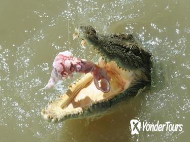 Darwin Jumping Crocodiles Cruise on Adelaide River