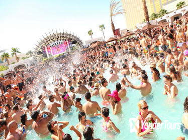 Day Club Pool Party Tour with Party Bus Transportation