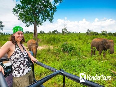 Day Excursions To Udawalawe From Galle With Lunch