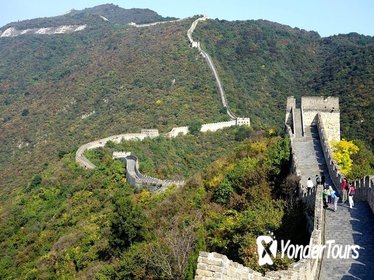 Day Tour of Mutianyu Great Wall and Forbidden City from Beijing