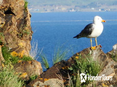 Day Tour to Sevan Lake, Tsakhkadzor Rope Way and Kecharis Monastery in Armenia