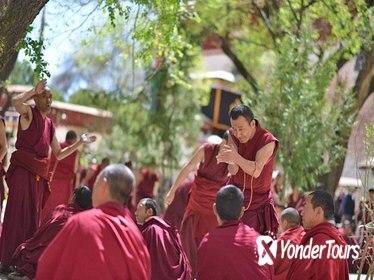 Day Tour: Tibet Drepung and Sera Monasteries