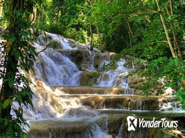 Day Trip to Dunn's River Falls from Montego Bay Day Trip to Dunn's River Falls from Montego Bay