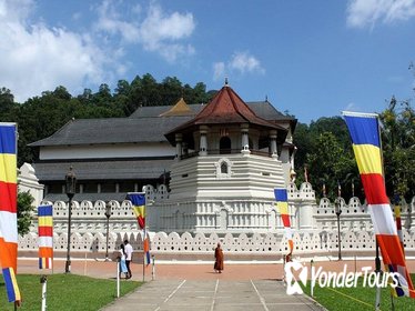 Day Trip To Kandy From Sigiriya