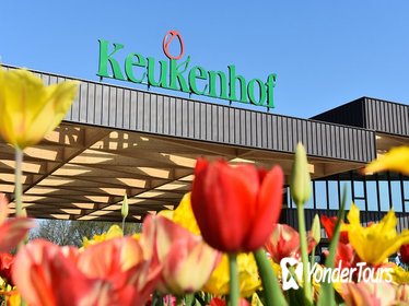 Day trip to Keukenhof Garden and Flowerfields from The Hague