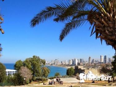 Day Walking Tour: Tel Aviv Old and New Including the German Colony