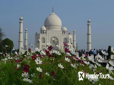 Delhi Agra and Taj Mahal Private Day Trip by Express Train with Lunch