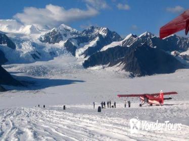 Denali Experience Flightseeing Tour