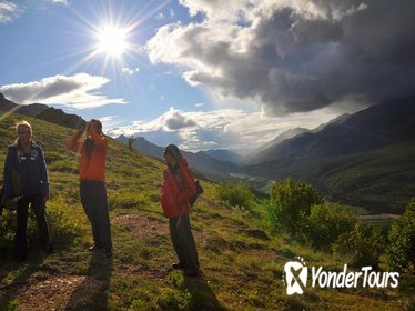 Denali Wilderness Hiking Tour