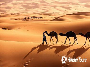 Desert tour Marrakech to Zagora