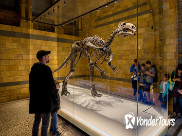 Dinosaur Discovery: The Natural History Museum Family Tour