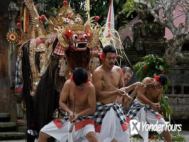 Discover Bali: Kintamani Barong Tour