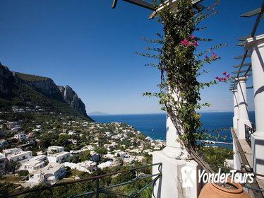 Discover Capri-Anacapri Boat tour Winter season