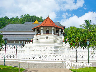 Discover Kandy -Spice Garden visit Tea Factory and Kandy city tour (Vehicle Only Private Day Trip From Colombo)