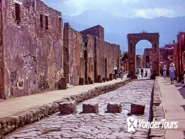 Discover Naples & the Ruins of Pompeii - Day Trip from Rome, with Pizza Lunch