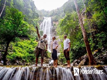 Discover Rain forest of Langkawi (Dawn or Dusk)