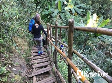 Doi Inthanon Private Tour with Trek, Lunch from Chiang Mai