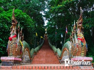 Doi Suthep , Trekking 2 hours at Doi Inthanon National Park,Lunch