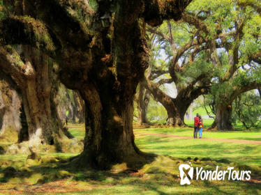 Double Plantation Tour in New Orleans