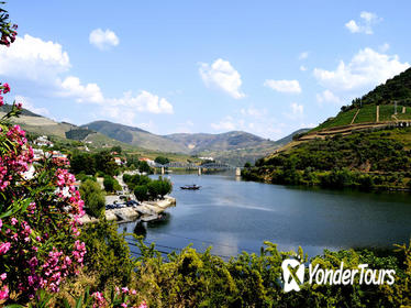 Douro Valley Small-Group Tour with Wine Tasting, Portuguese Lunch and Optional River Cruise