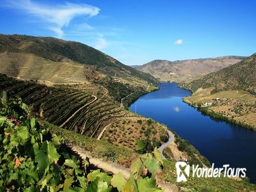 Douro Valley Wine Tour: Visit to Three Vineyards with Wine Tastings and Lunch