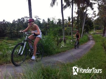 Downhill Bali Hidden Cycling Tour