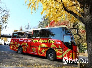 Downtown and Panorama 2-Day Hop-on-Hop-off Bus Tour in Seoul