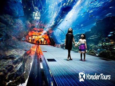 Dubai Aquarium & Under Water Zoo